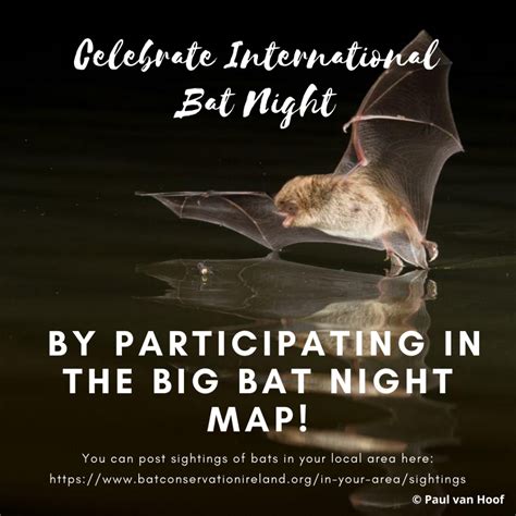 Celebrate International Bat Night at Grafton Lakes State Park